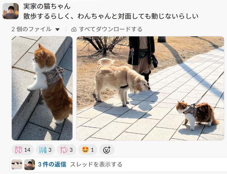 活発なSlack雑談（文化）